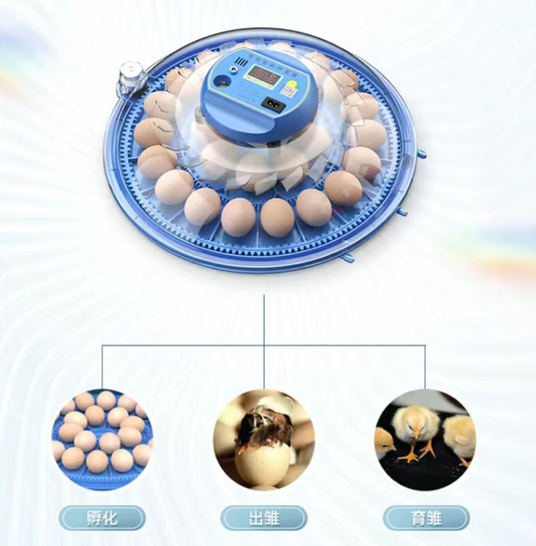 Poultry Incubator - 20/24/36/56/96/112 Eier Hühner-Ei-Inkubator Vollautomatischer Geflügel-Ei-Inkubator