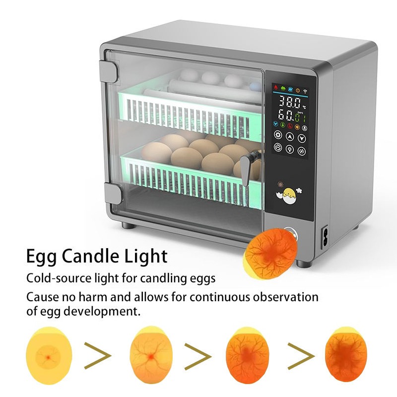 Direkt vom Hersteller 2026 Vol – Poultry Incubator Bewertung und Preis