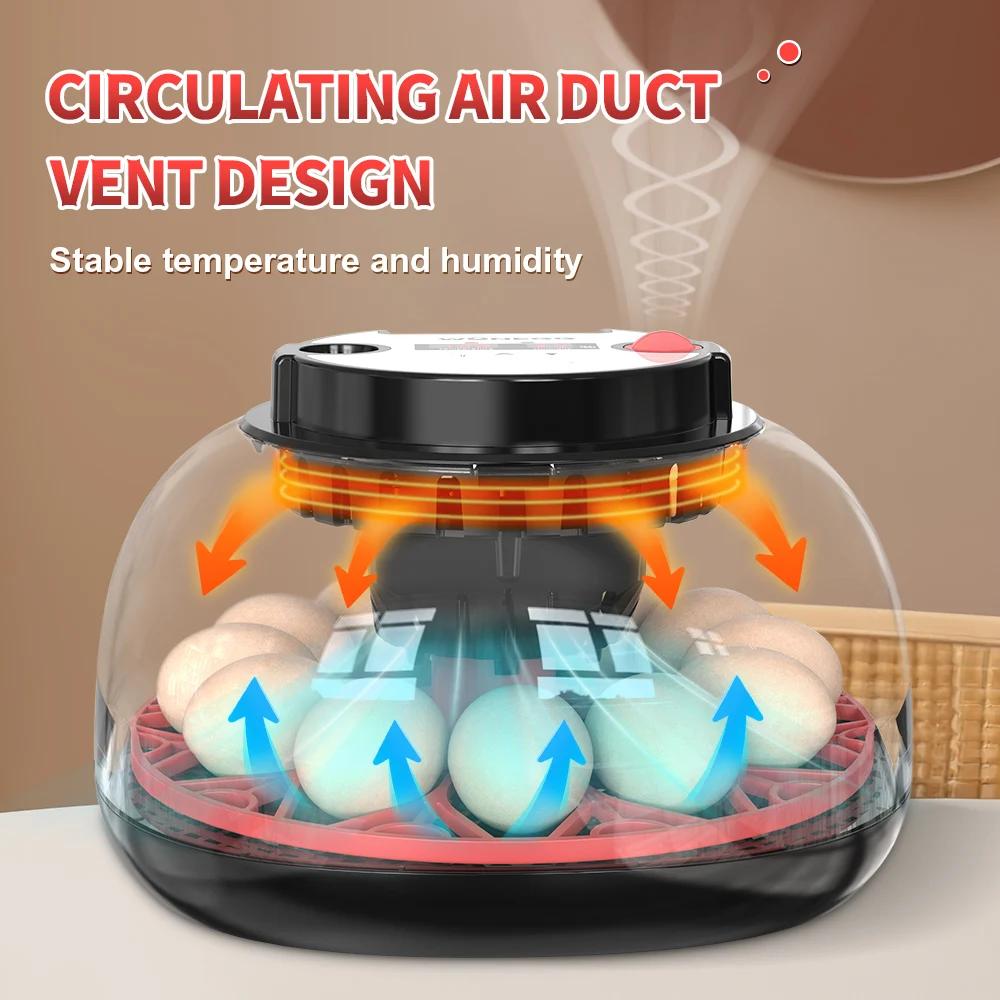 12-Eier-Inkubator mit automati – Poultry Incubator Bewertung und Preis