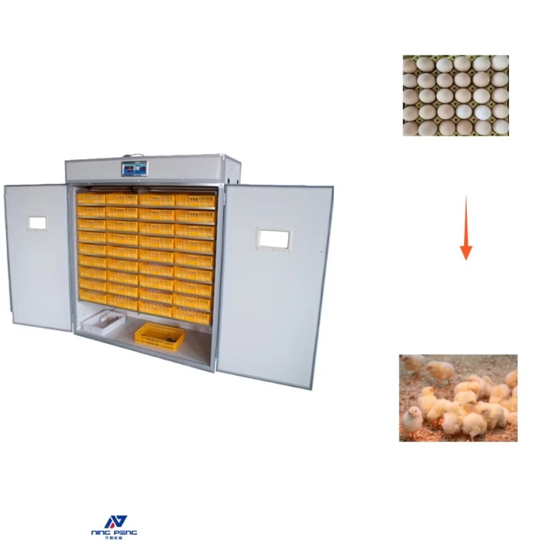 Geflügel-Eierinkubator-Maschin – Poultry Incubator Bewertung und Preis