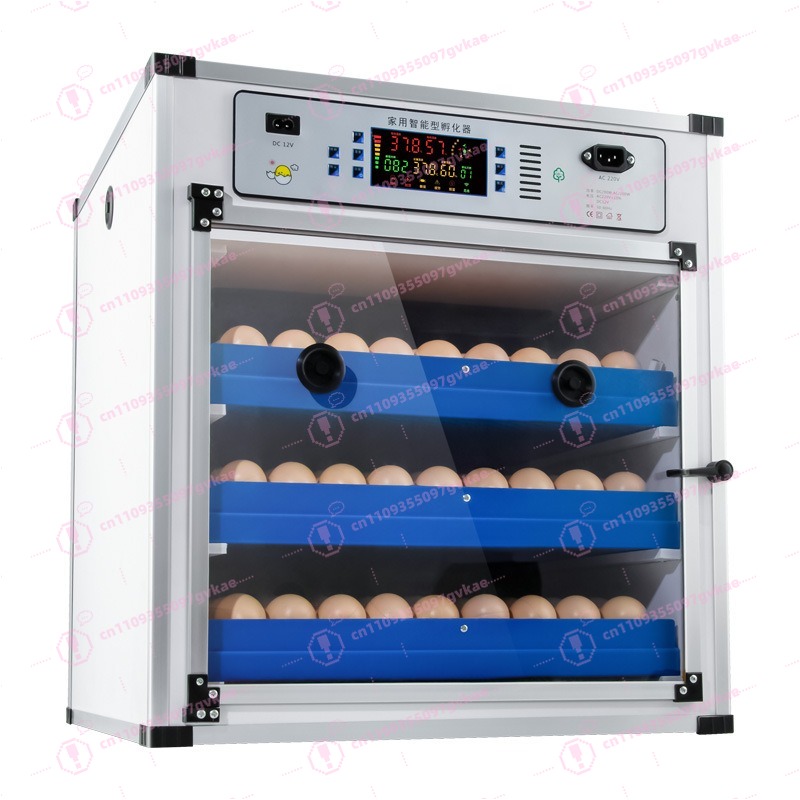 Tragbarer Haushalts-Eierinkuba – Poultry Incubator Bewertung und Preis